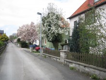 Danziger Straße Elze